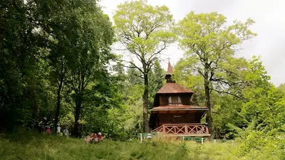 Radosław Szczepanek - licencjonowany przewodnik beskidzki